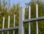 Guardsman security fencing