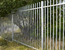 Guardsman vertical bar fencing